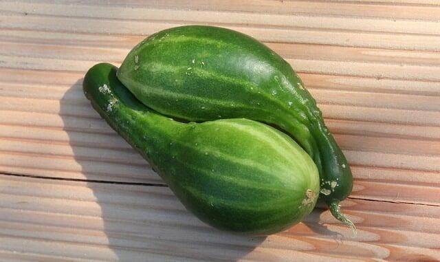 Find out what causes a deformed cucumber
